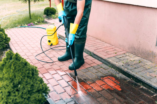 Animal Enclosure Cleaning in Olney, IL